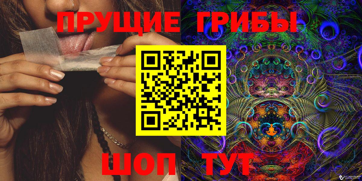 дарнет шоп  Галлюциногенные грибы MAGIC MUSHROOMS  Псилоцибиновые грибы мухоморы  Вход с VPN  Нарткала 